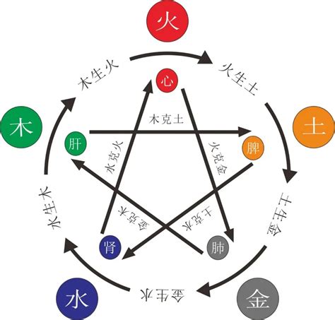 五行缺金缺木|命中五行缺木的人怎么办 八字五行缺木怎么补